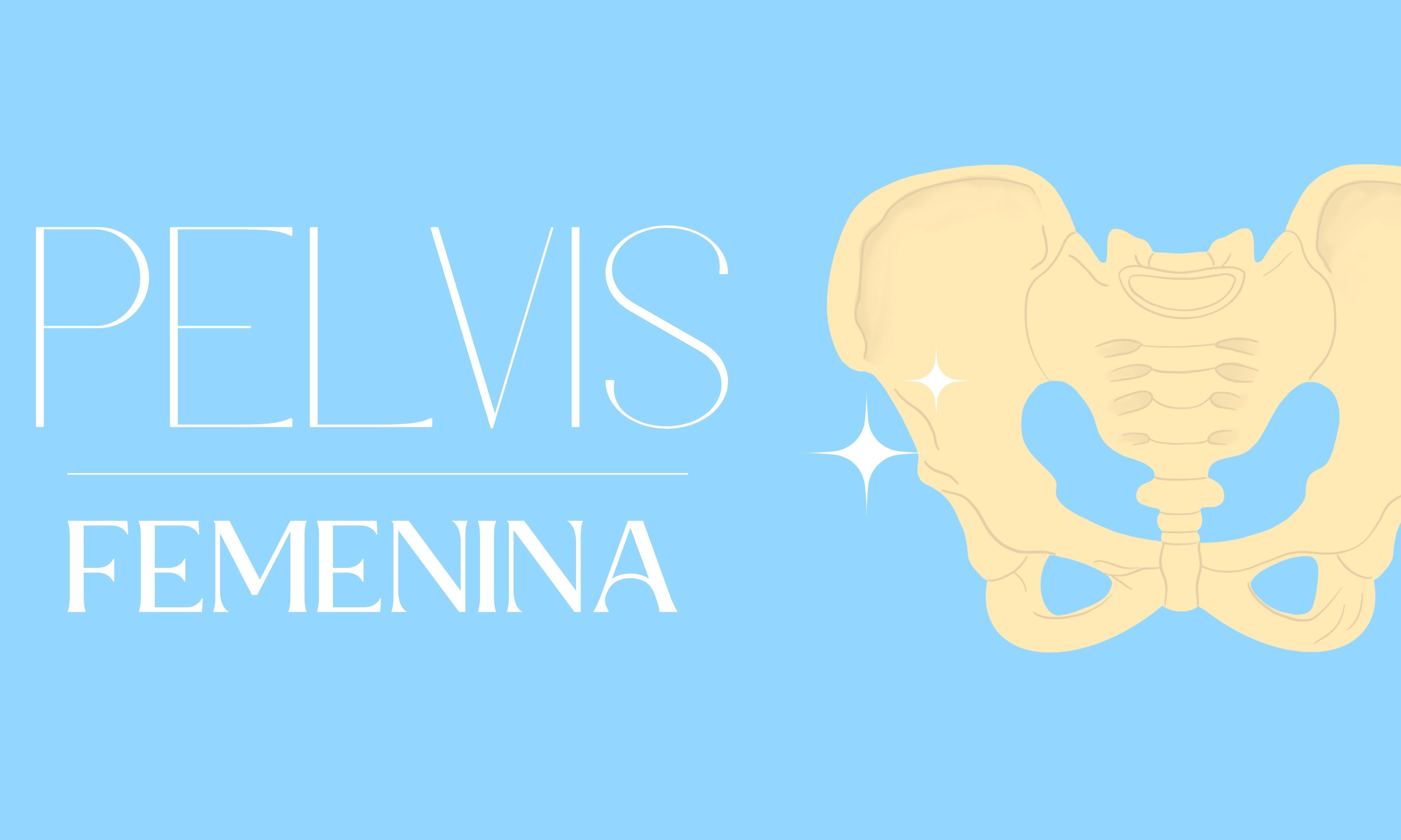 Pelvis femenina