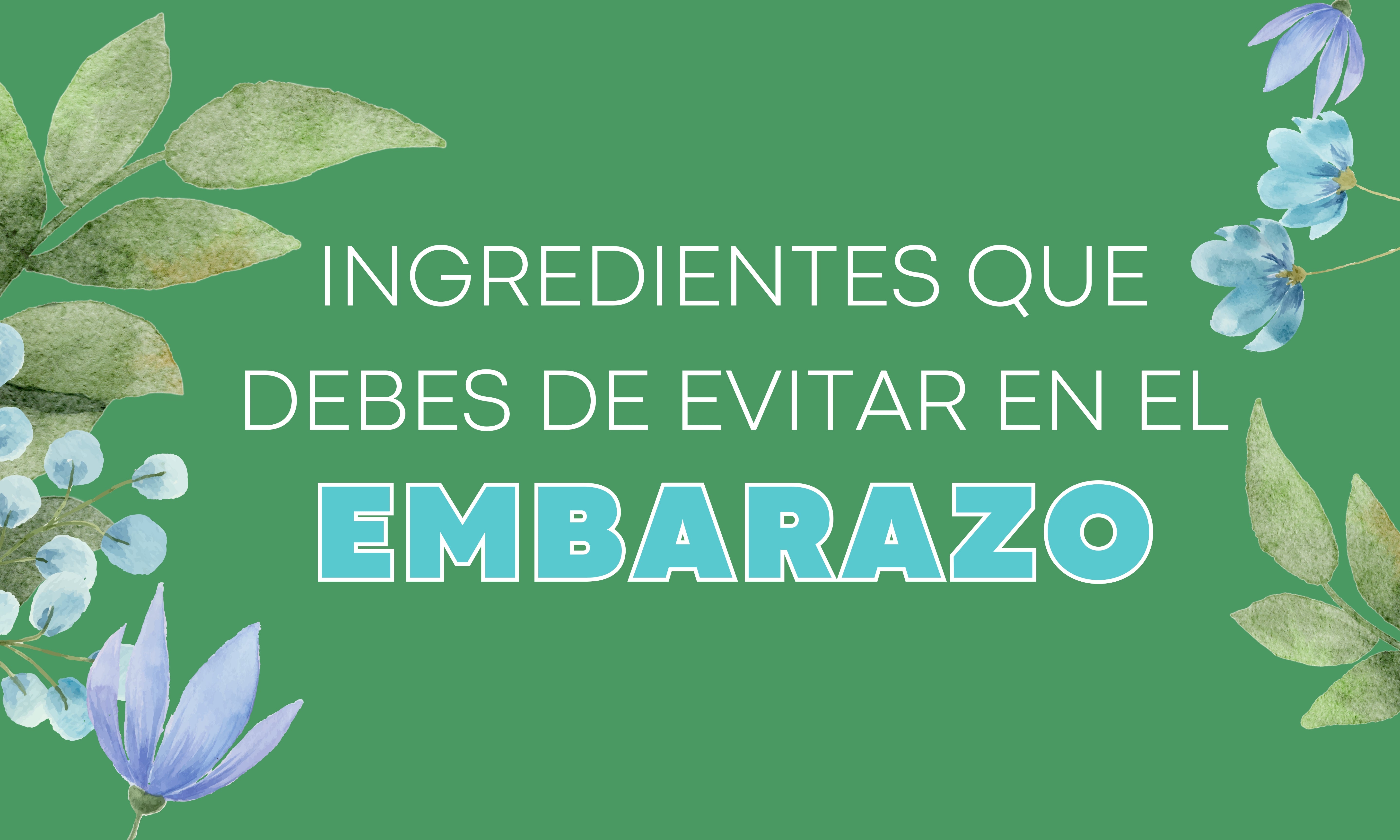 Ingredientes que debes de evitar en el embarazo