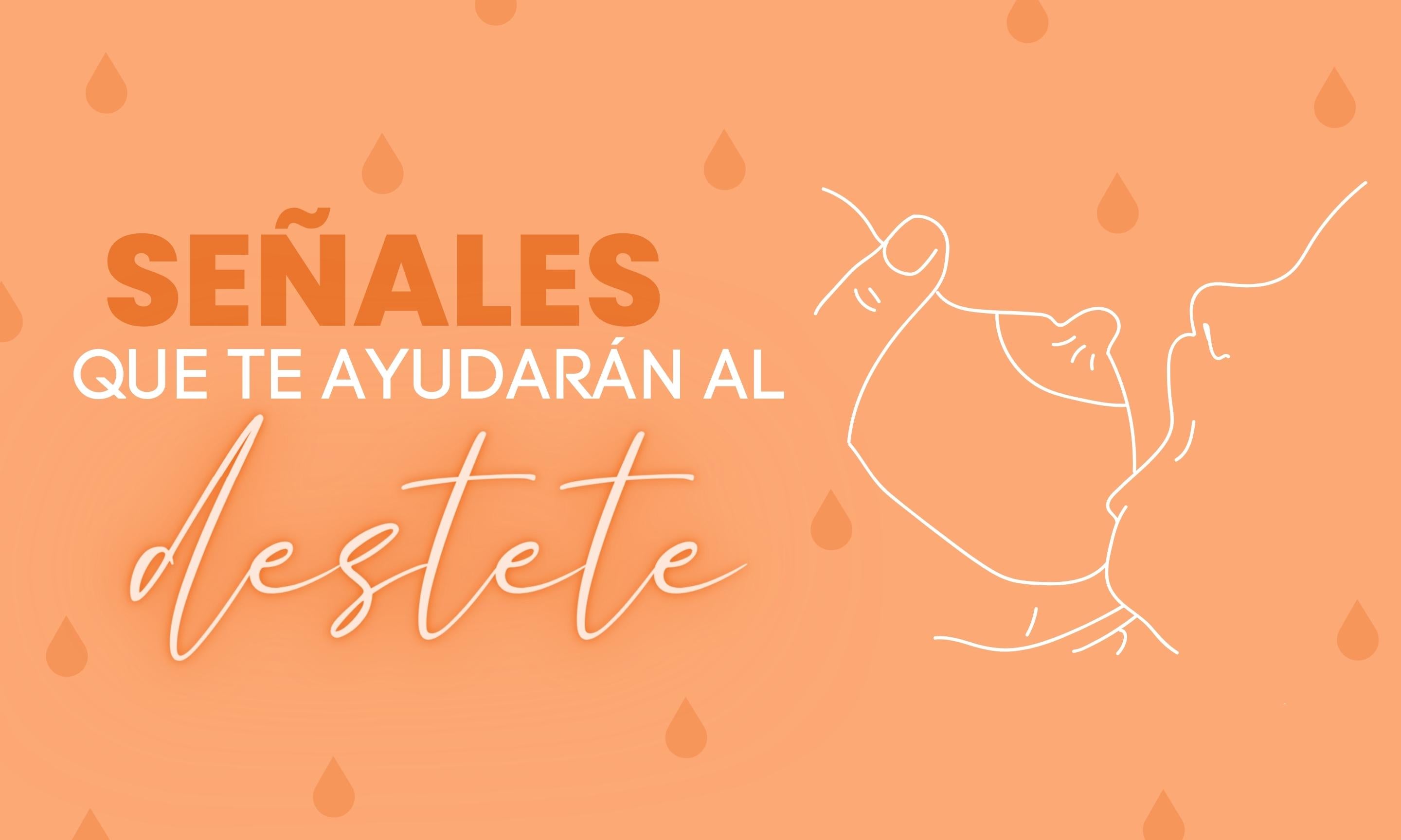 Señales que te ayudarán al destete