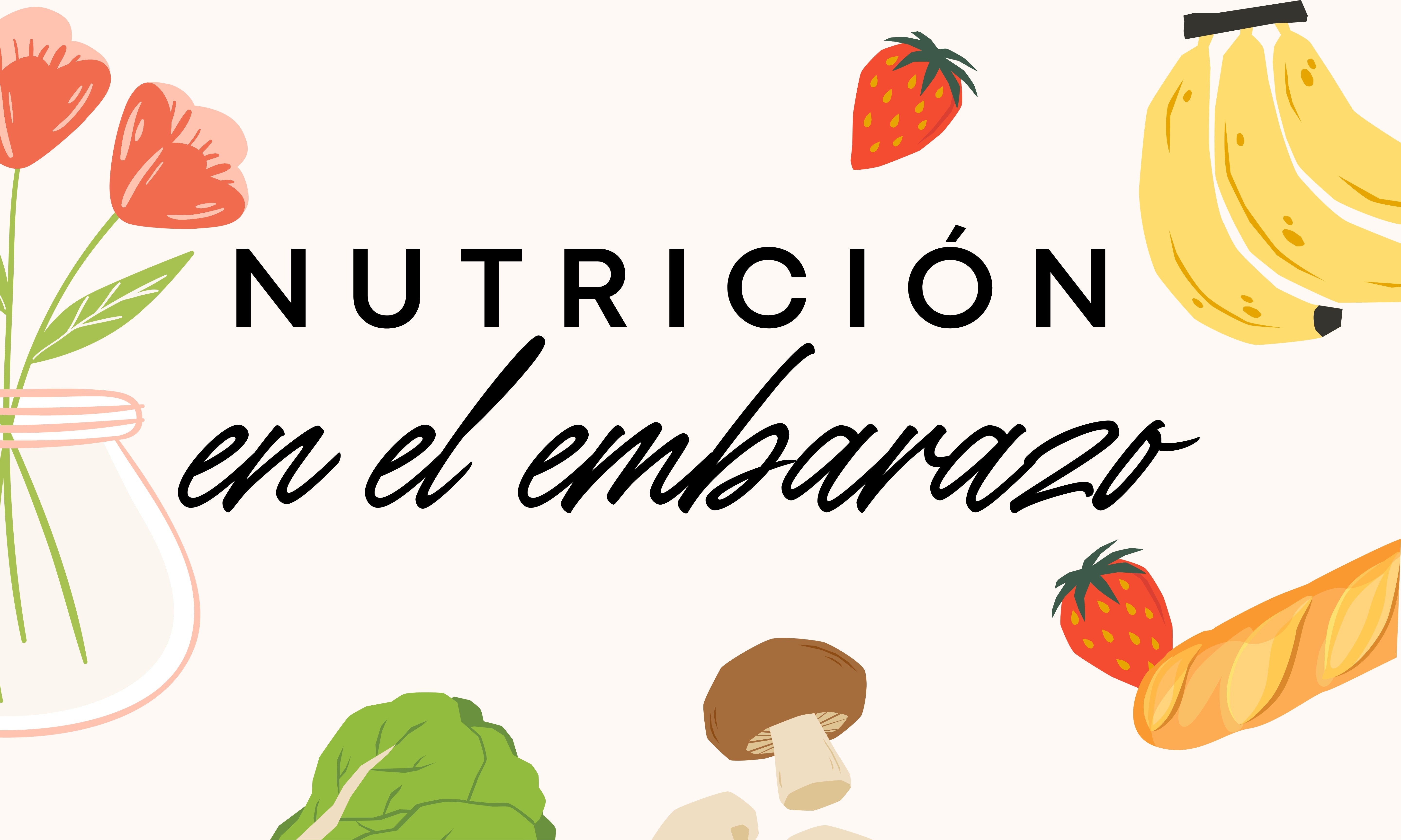 Nutrición en el embarazo