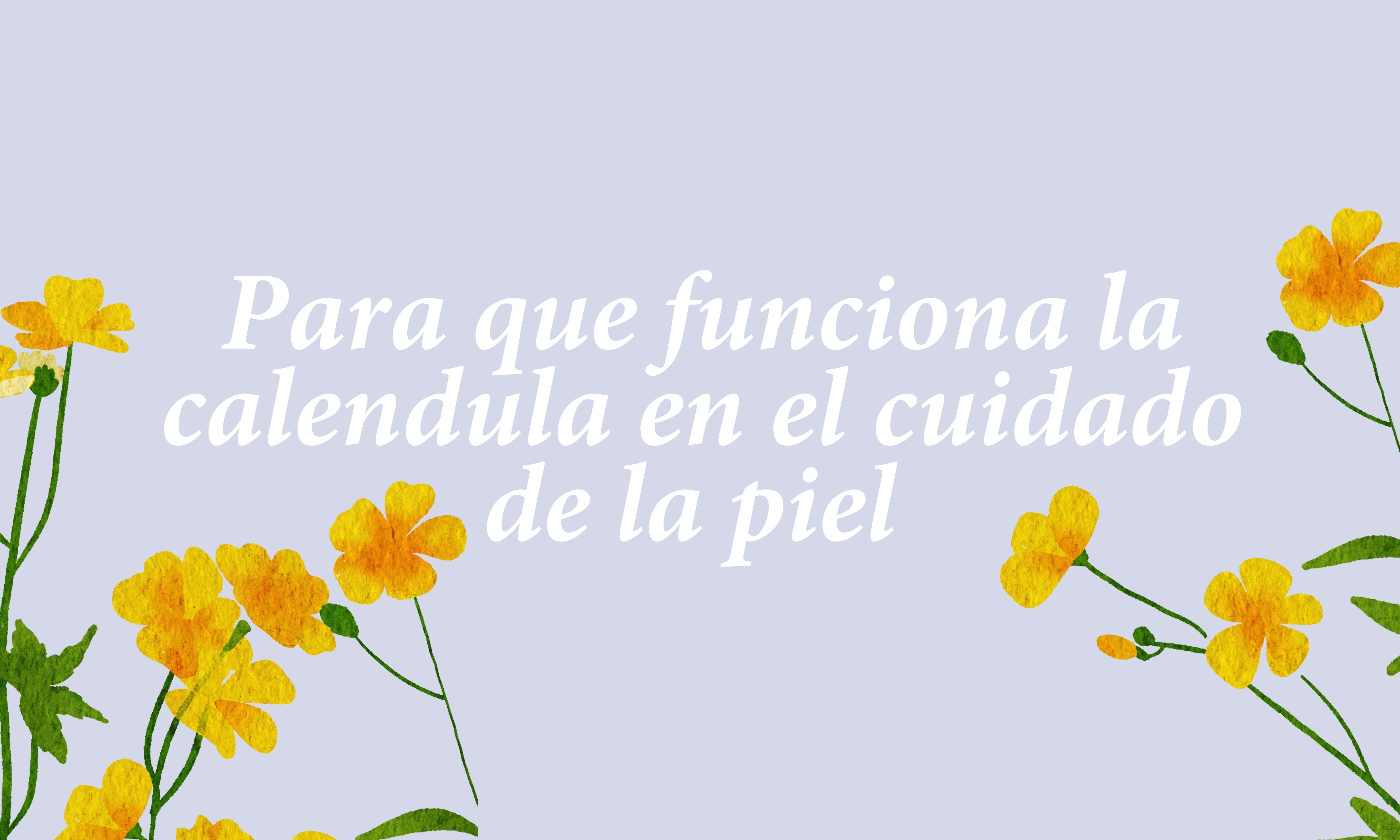 Para que funciona la calendula en el cuidado de la piel