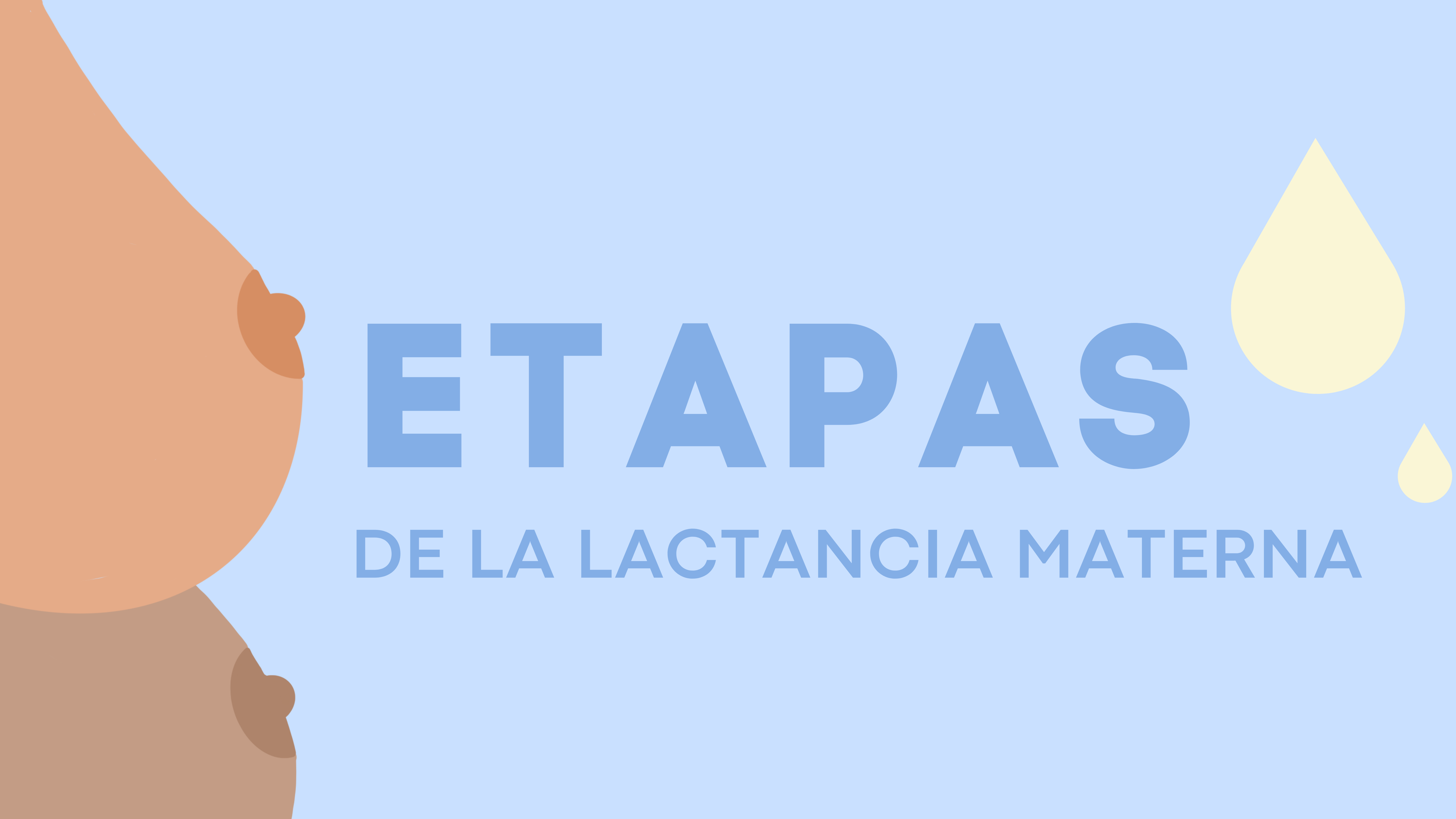 Etapas de la lactancia