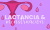 Lactancia & Menstruación